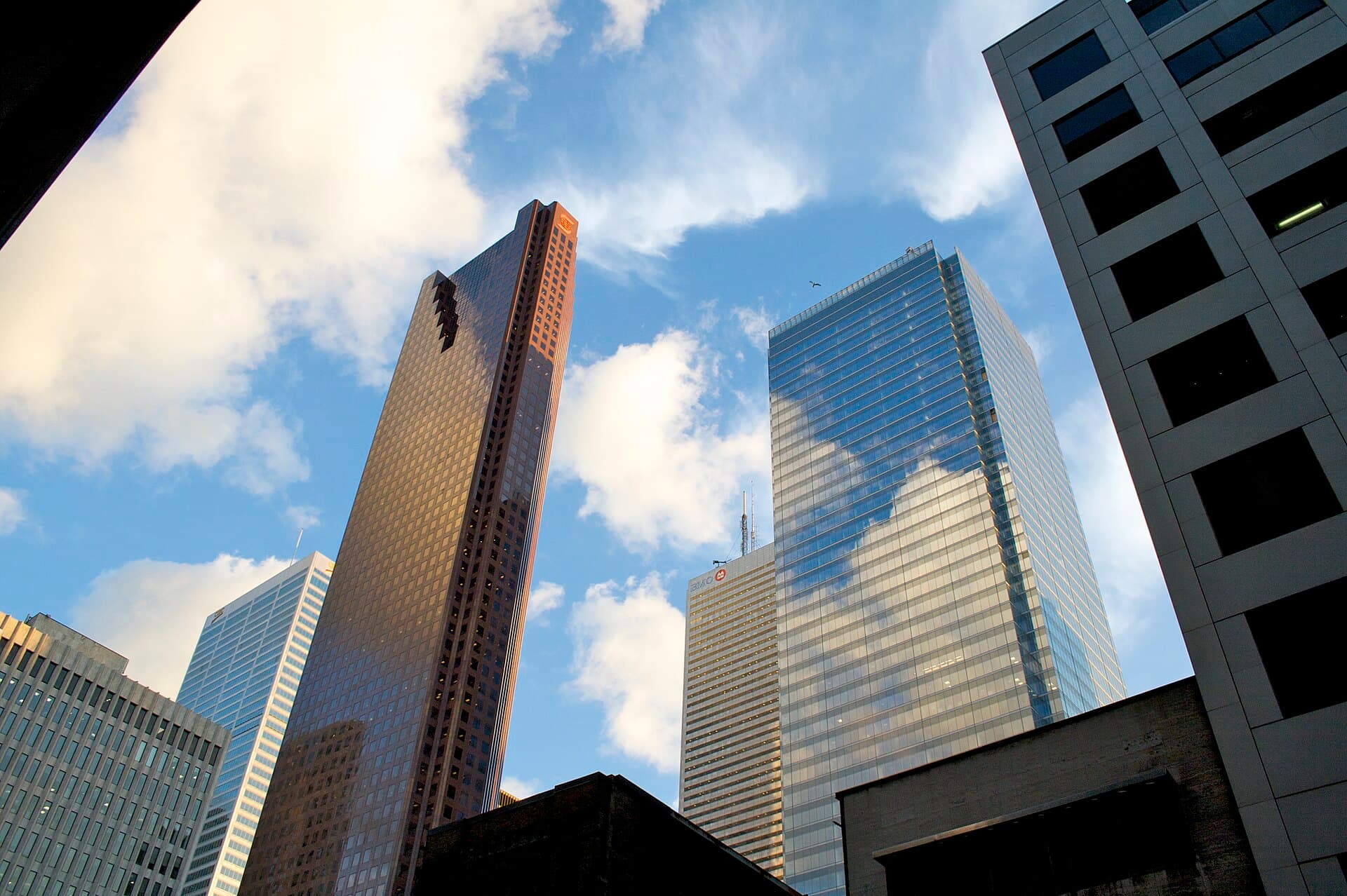Toronto financial district view